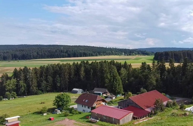 Holiday Apartment on a Farm in Black Forest