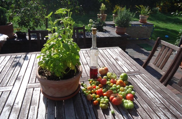 Apartamento de vacaciones Przyjazn para 1 - 4 personas con 1 dormitorio - Apartamento en casa unifam