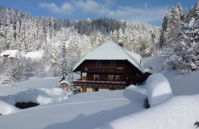 Ferienhaus Biehler - amplio apartamento de 3 habitaciones