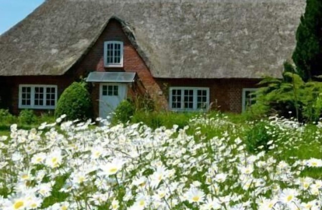 Casa de vacaciones Riepsdorf para 1 - 8 personas con 4 dormitorios - Casa de vacaciones