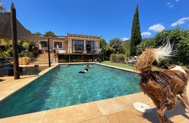 Casa de vacaciones para gente con perros!
