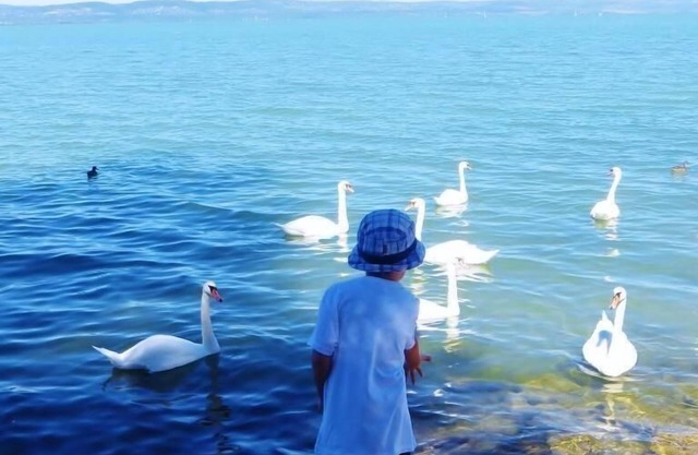 Casa de vacaciones Balatonszárszó para 1 - 16 personas con 5 dormitorios - Casa de vacaciones