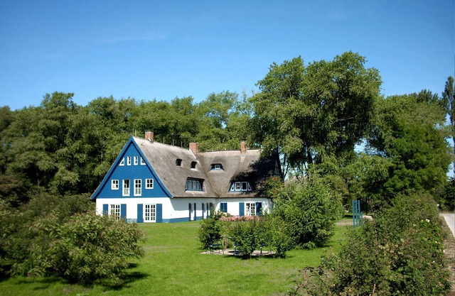 Vacaciones bajo el techo de paja Piso 5