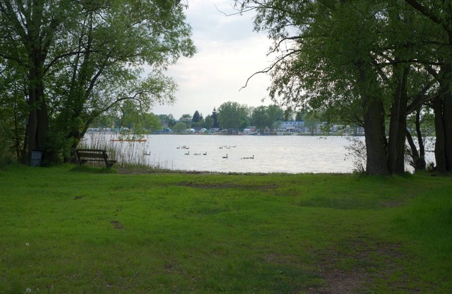 Lakeside -Ahora con Konsolenboot- y alquiler de canoas a nuestros clientes