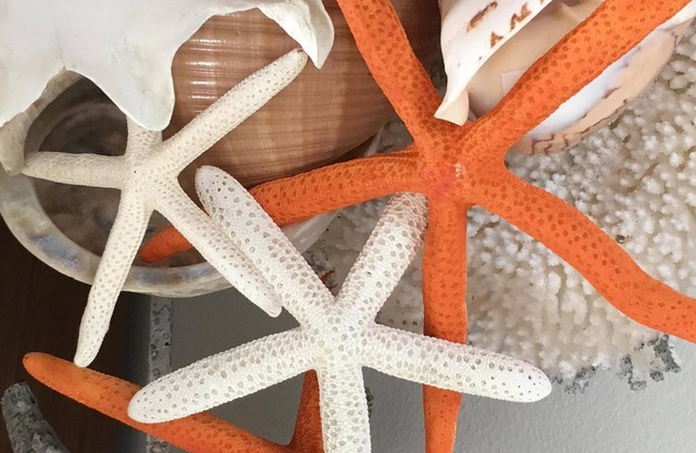 * Ciudad APROBADA Starfish Cottage * ahora abierta del 14 de julio al 19 de julio.