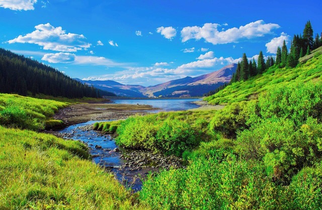 Home comforts with downtown Dallas in reach