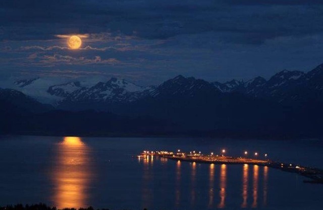 Las mejores vistas de Homero desde la acogedora cabaña de la esquina