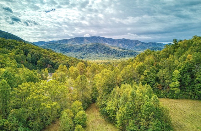 Honeybee Cottage, Pickleball Court, Creek, WIFI, Mountain Views, Starting at $69