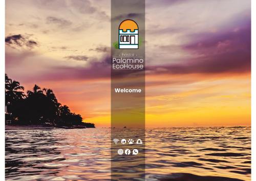 Hostal Palomino EcoHouse & Camping