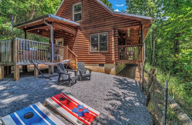 Hot Tub Yard Biltmore Blue Ridge Cabin Dogs ok Fireplace Winter Views