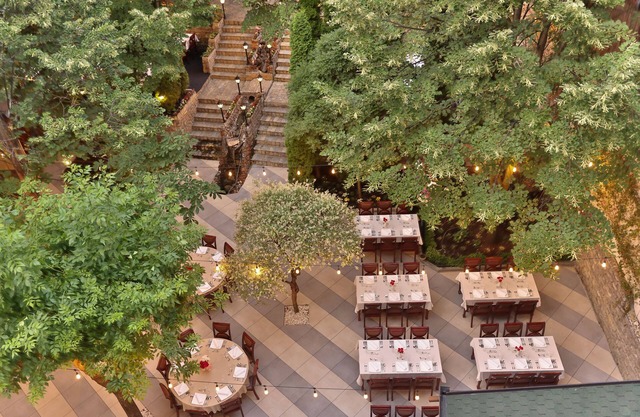 Hotel Afa