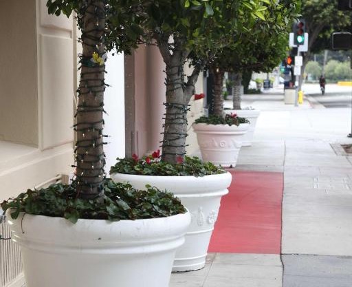 Hotel Carmel Santa Monica