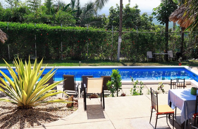 Hotel Vista Bonita -Habitación Oso Perezoso