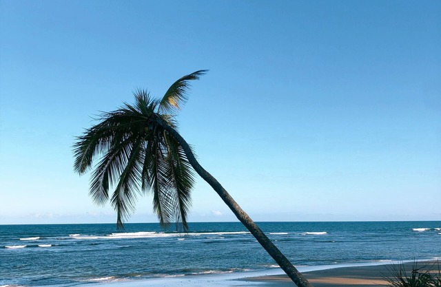 Casa en la playa - Península de Maraú - Bahía