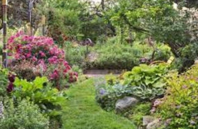 House with 3 bedrooms and 2 full baths 1 acre near St. Francisville.