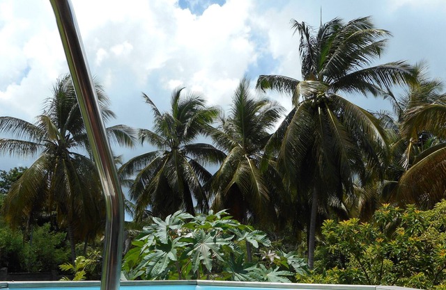 House swimming pool and private garden 400 meters from the beach and shops