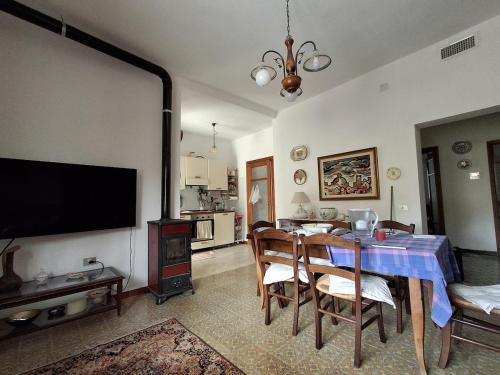 House with the terrace and the garden