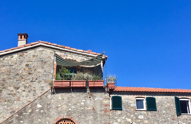 Las trituradoras de Flavia