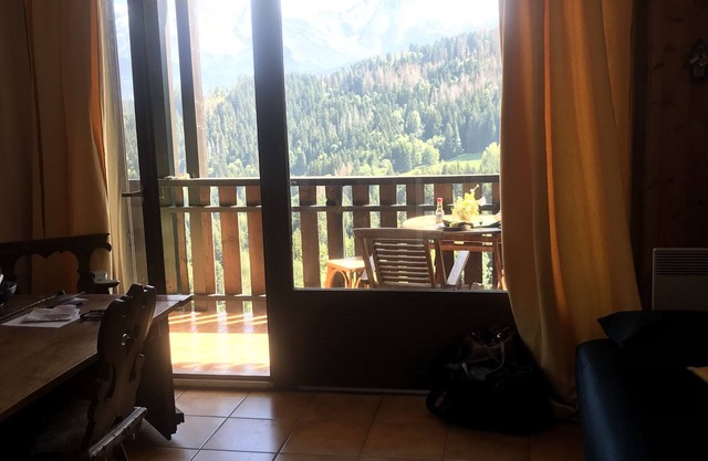 In front of Mont Blanc, full south, charming