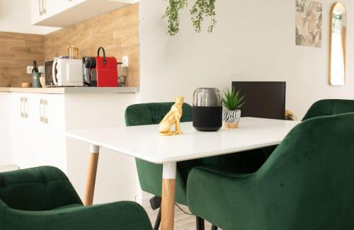 Jungle appartement lumineux plein centre