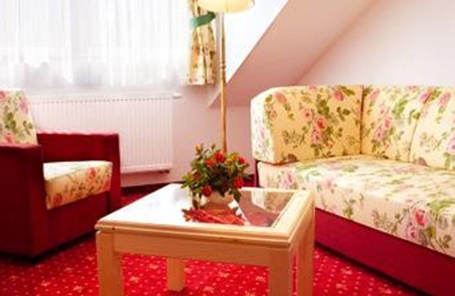 Junior suite "Elbblick", baño, WC - Elbhotel Bad Schandau