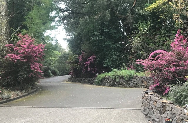 Corto viaje en coche a Kenwood Sonoma Healdsburg