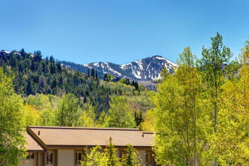 KBM Resorts Nordic Retreat Hot Tub Mountain Views Wood fireplace PAC-2410