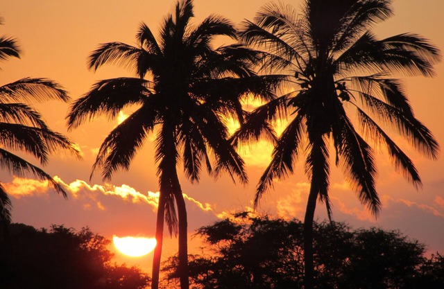Kepuhi Beach Resort # 2202 - Paradise Found