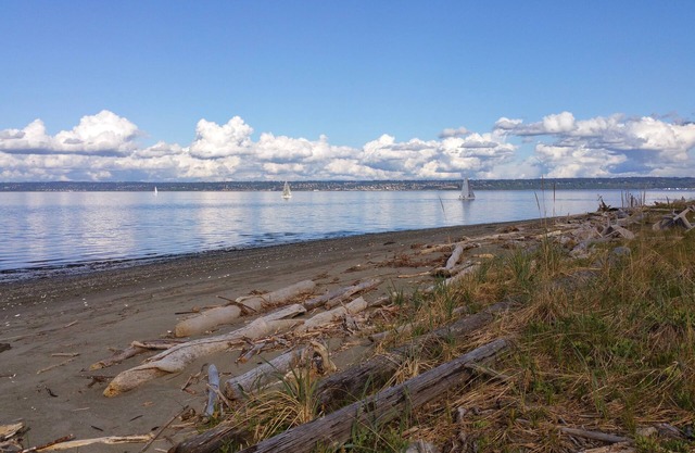 Kingston Waterfront Retreat – Beach, Pool & Amazing Sound & Mountain Views!