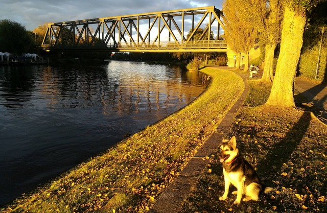 Kleine Perle am Schwielowsee