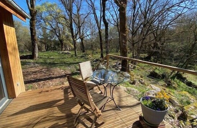 La Jonquille , Saint chignes, à Gramat