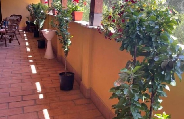 La terrazza dei ciliegi