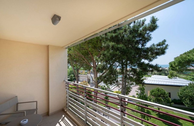 Hotel Laguna Park - Habitación Panorama