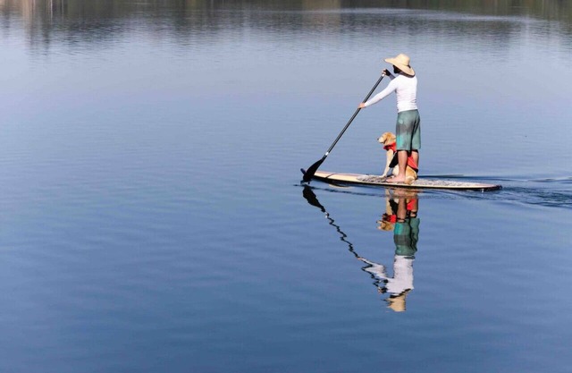 Escapar y Explorar: Kayaks, Tablas de pPaddle, Diversión en Bicicleta