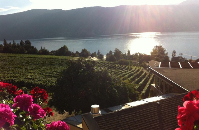 Nuevo precio 10% de ahorro antes del 10 de agosto de 2019