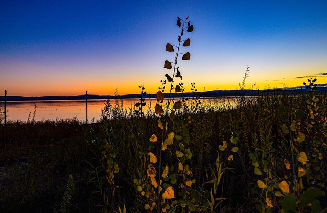 Lakefront Boho Inspired Bungalow