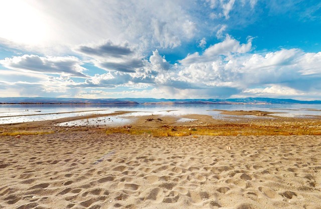 ¡NUEVO LISTADO! Lakefront este lado casa en playa privada con un gran patio de hierba!