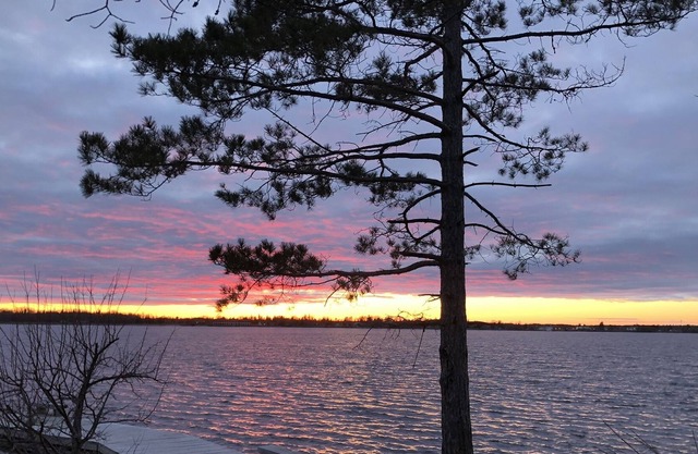 Lakeside Home on Beautiful Rainy Lake in Rainer Proper: Best Location