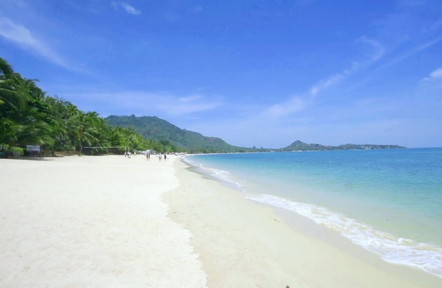 Lamai Inn 99 Bungalows