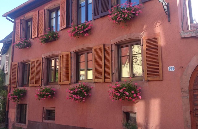 Gran casa de campo con capacidad para 15 personas.