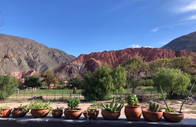 Las Lavandas Purmamarca