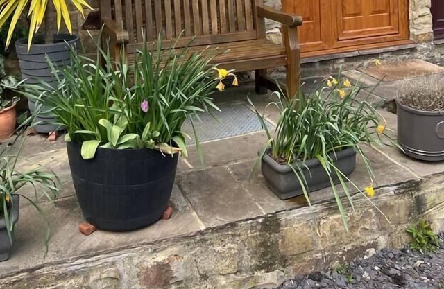 Lavender Cottage Grewelthorpe Nr Masham Ripon