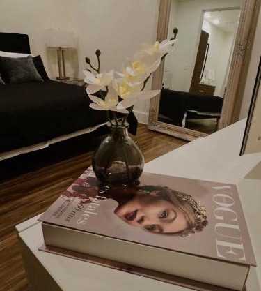 lavish apartment downtown