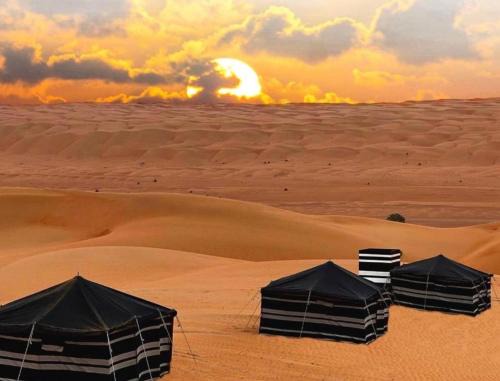 layali camp