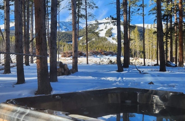 Lazy Fox Lodge in National Forest