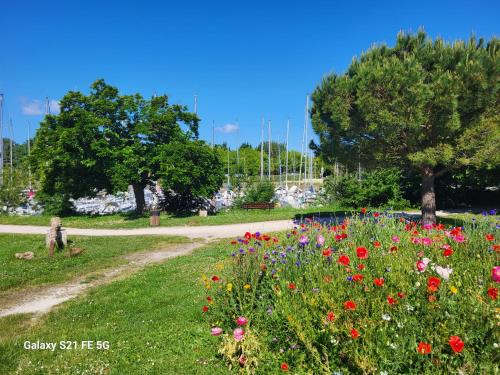 Le grenier a sel
