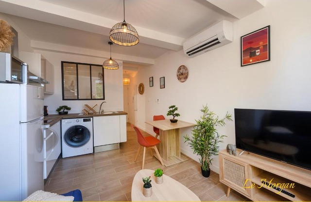 Le Morgan - Magnifique appartement cours principal plein centre avec parking