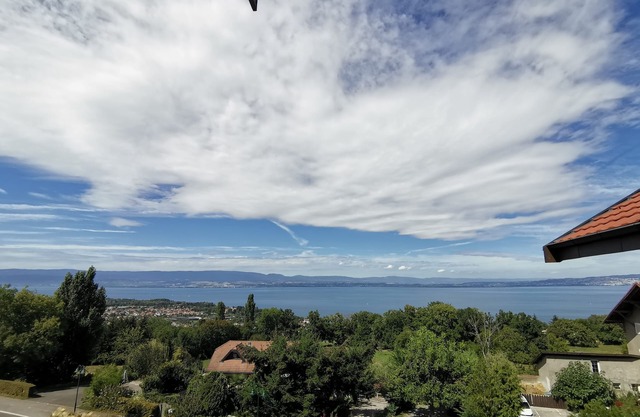 Le Parc Publier / Evian les Bains