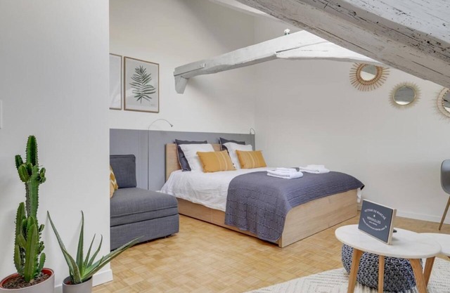 Les Mansardes du Roi - Near the Castle. Beautiful view over the rooftops.