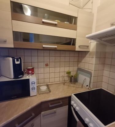 Liliom Danube View Studio